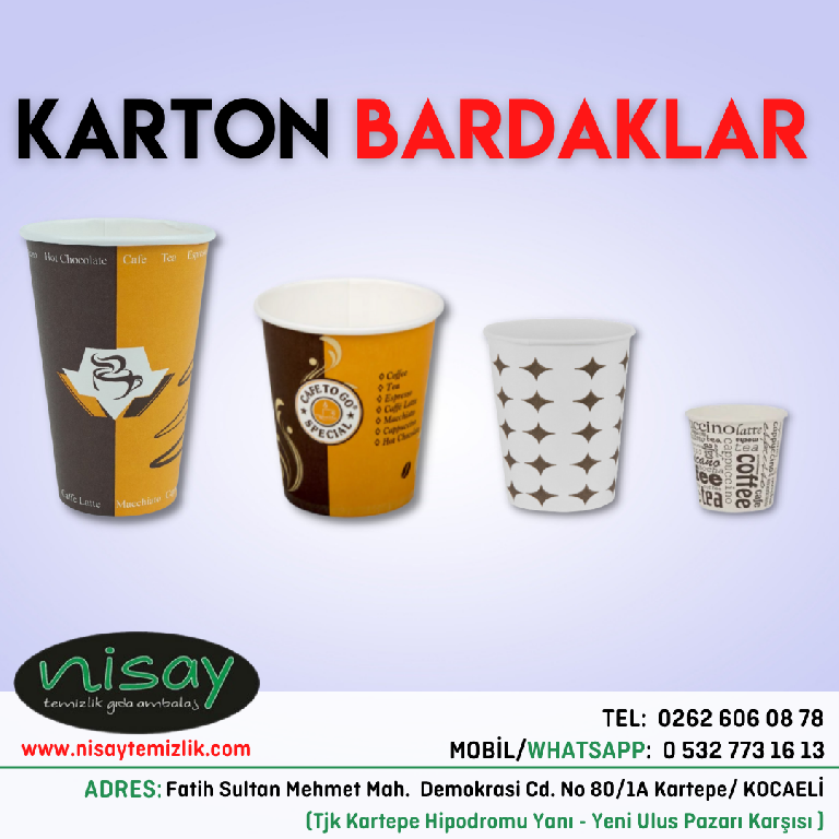 KARTON BARDAK DESENLİ